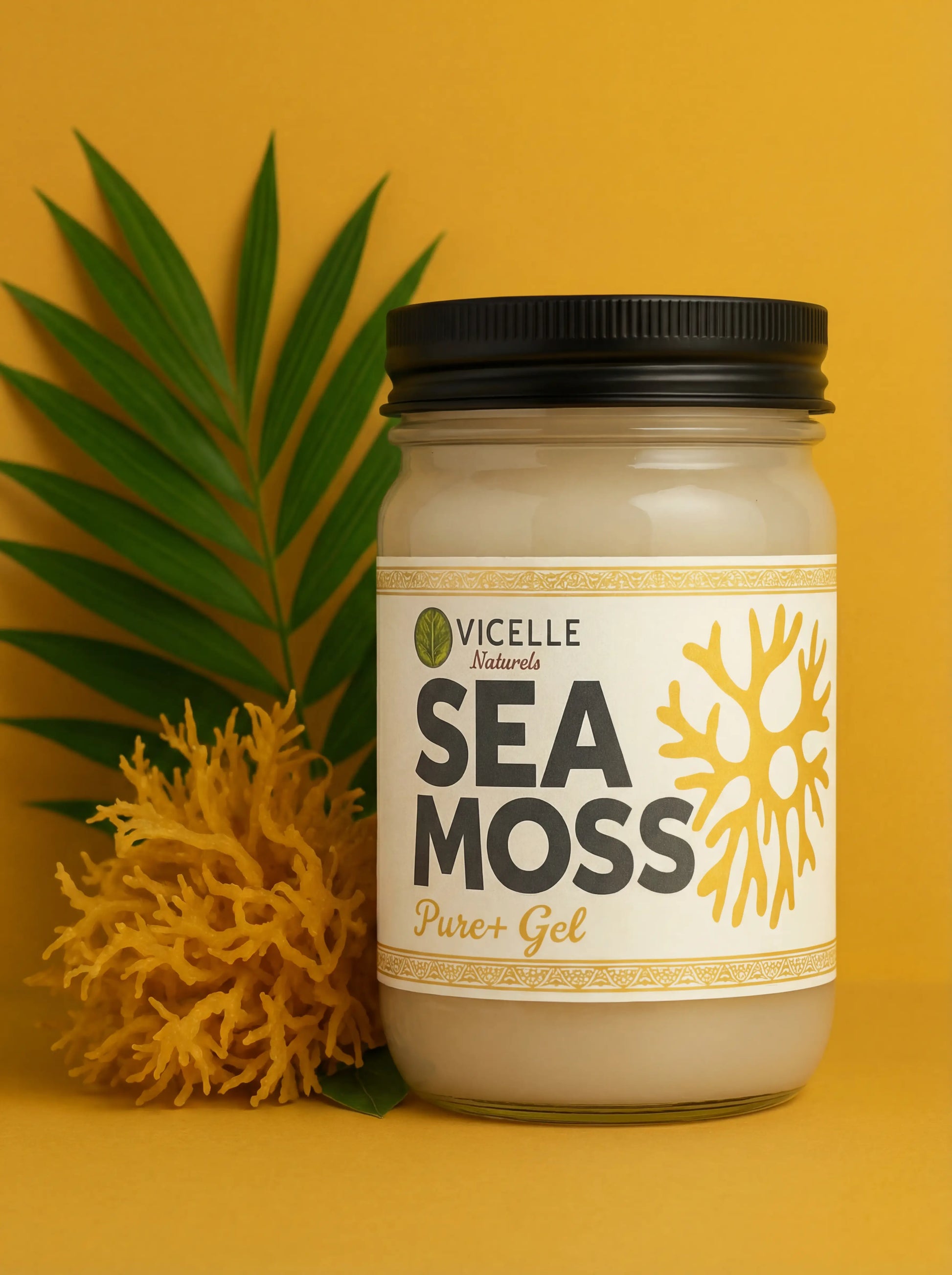 Pure+ Sea Moss Gel - Main product image