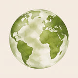 MADE CONSCIOISLY