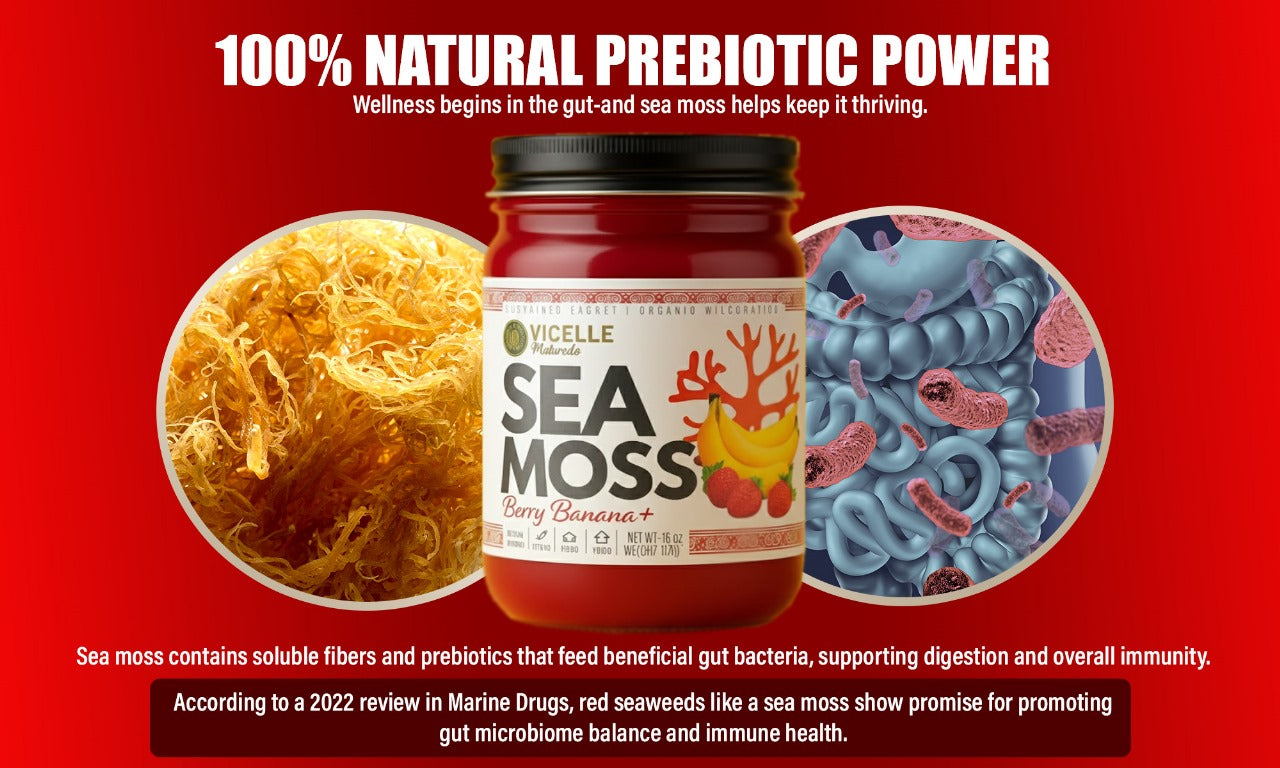 Berry Banana+ Sea Moss Gel