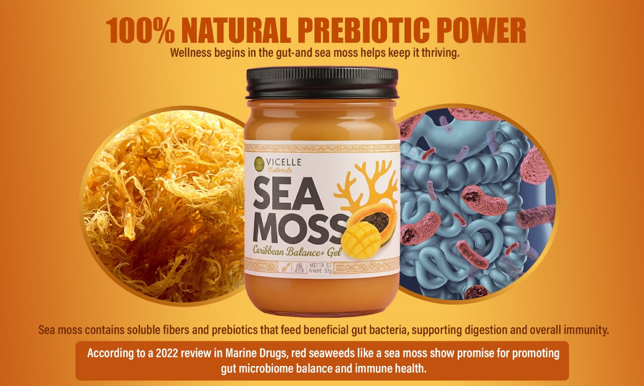 Caribbean Balance+ Sea Moss Gel