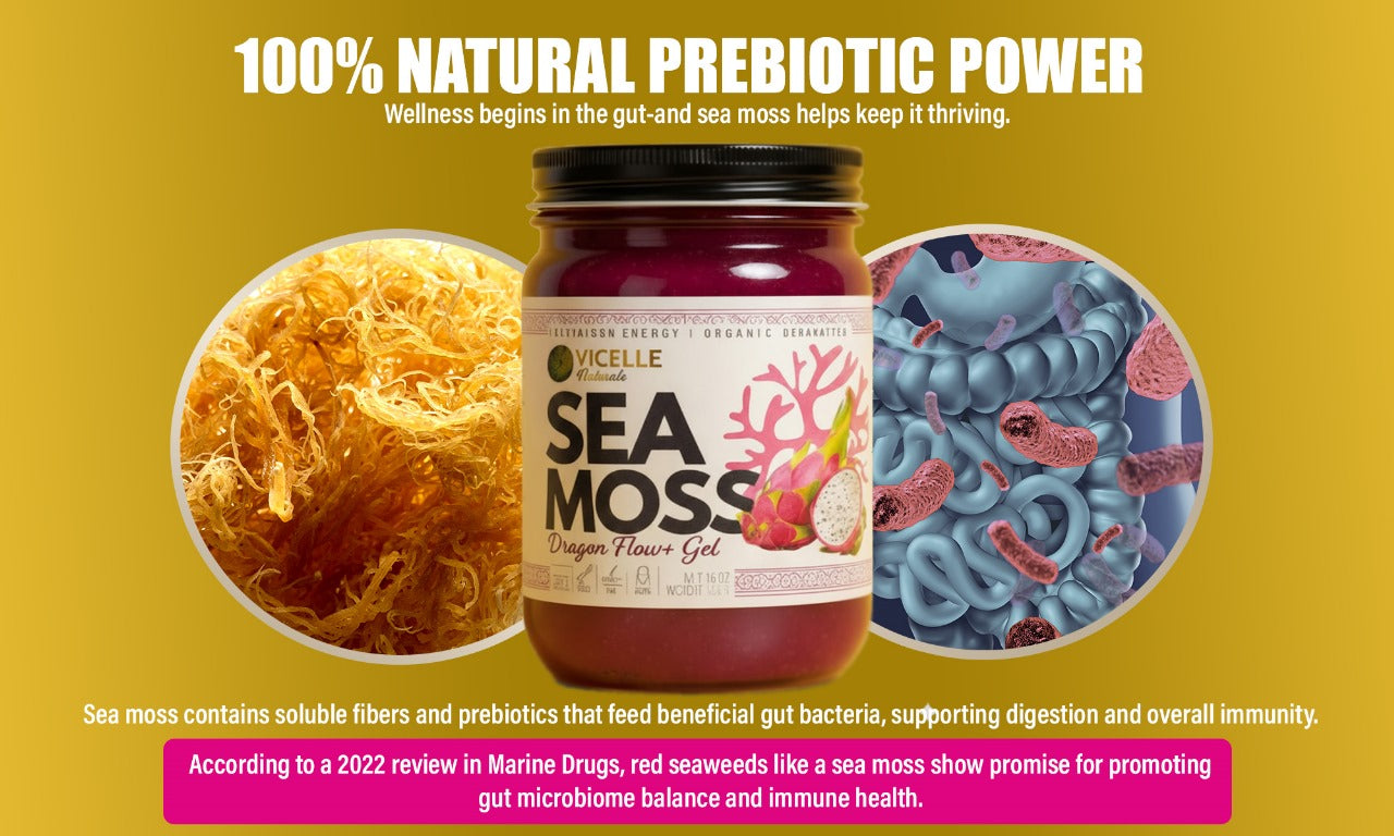 Dragon Flow+ Sea Moss Gel