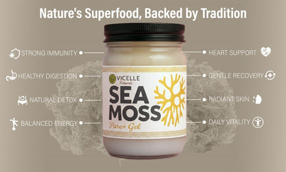 Pure+ Sea Moss Gel - Product benefits