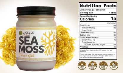 Pure+ Sea Moss Gel - Product details