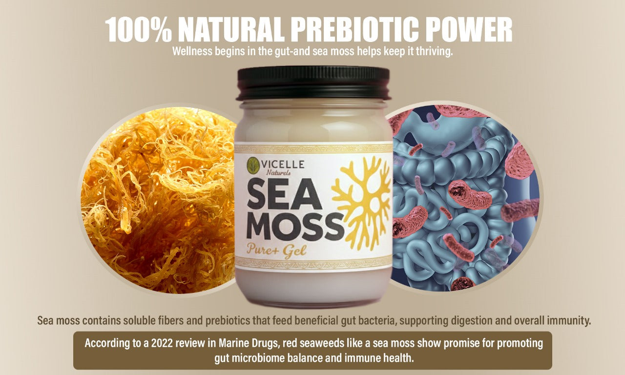 Pure+ Sea Moss Gel - Product image 8
