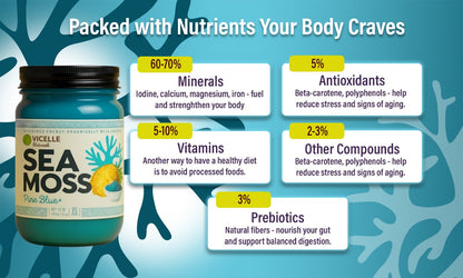 Pine Blue+ Sea Moss Gel - Ingredients and nutrition facts