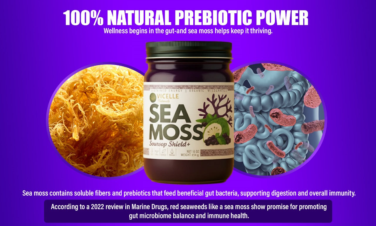 Soursop Shield+ Sea Moss gel - Product image 8