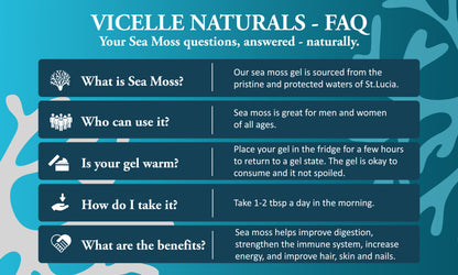 Pine Blue+ Sea Moss Gel - How to use