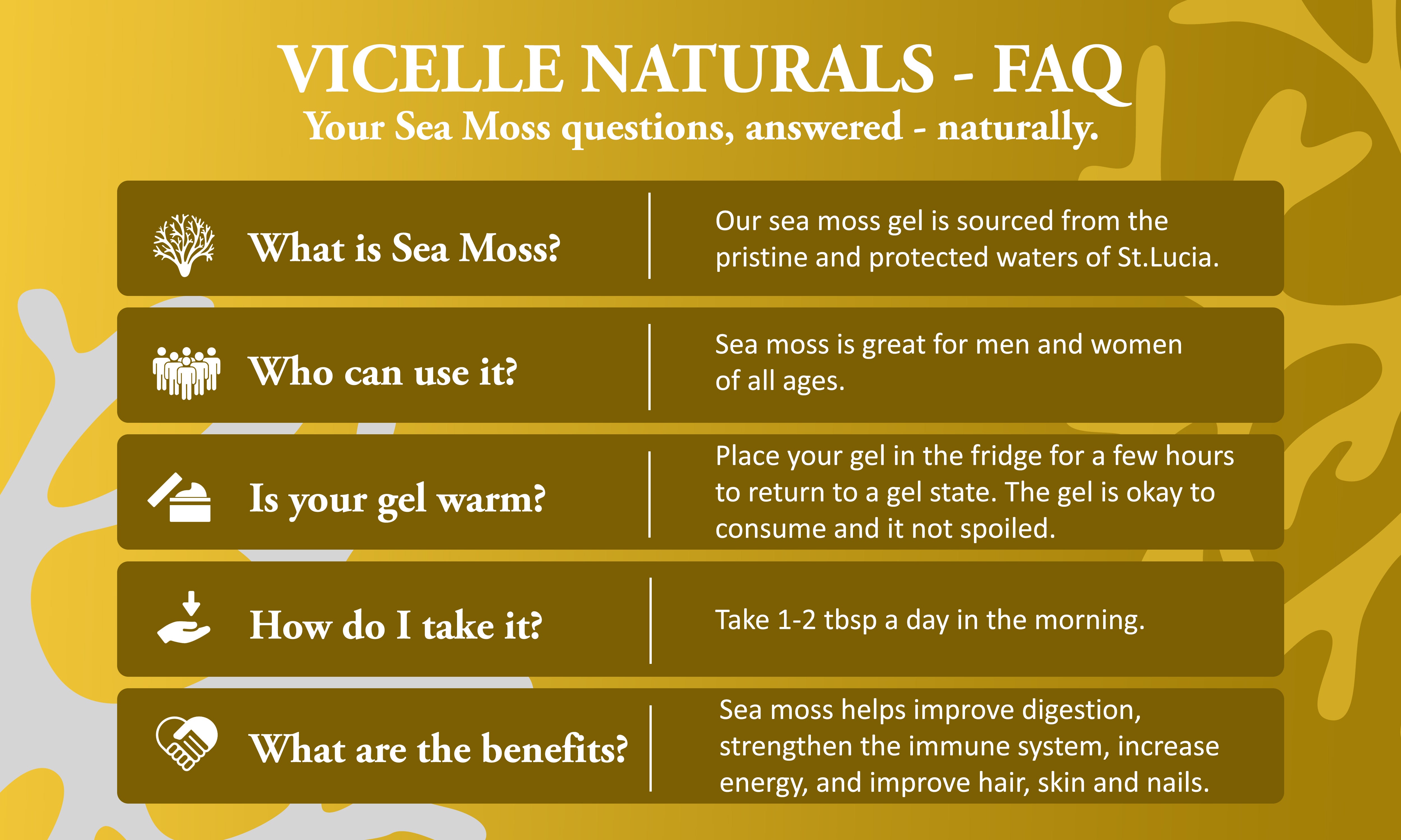 Dragon Flow+ Sea Moss Gel